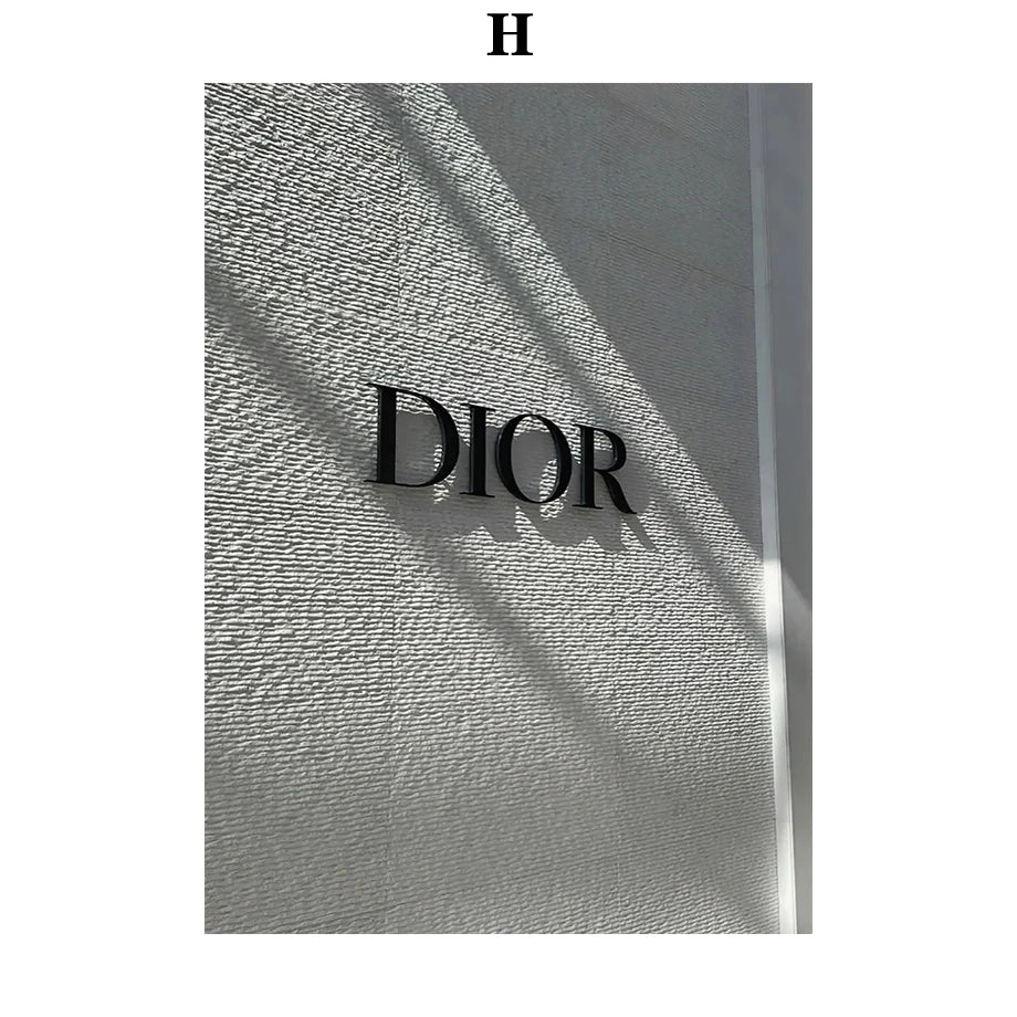 Luxury Designer-Inspired Canvas Wall Art – Premium Home Décor